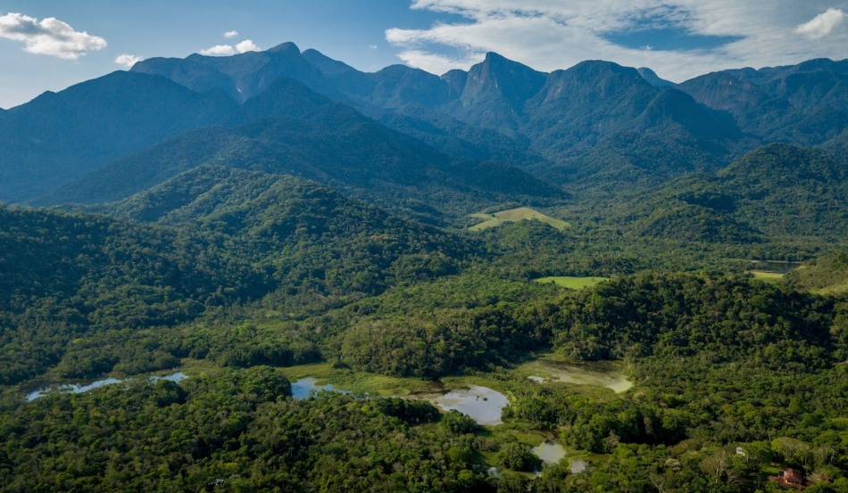 Vista de área da Mata Atlântica no Rio de Janeiro