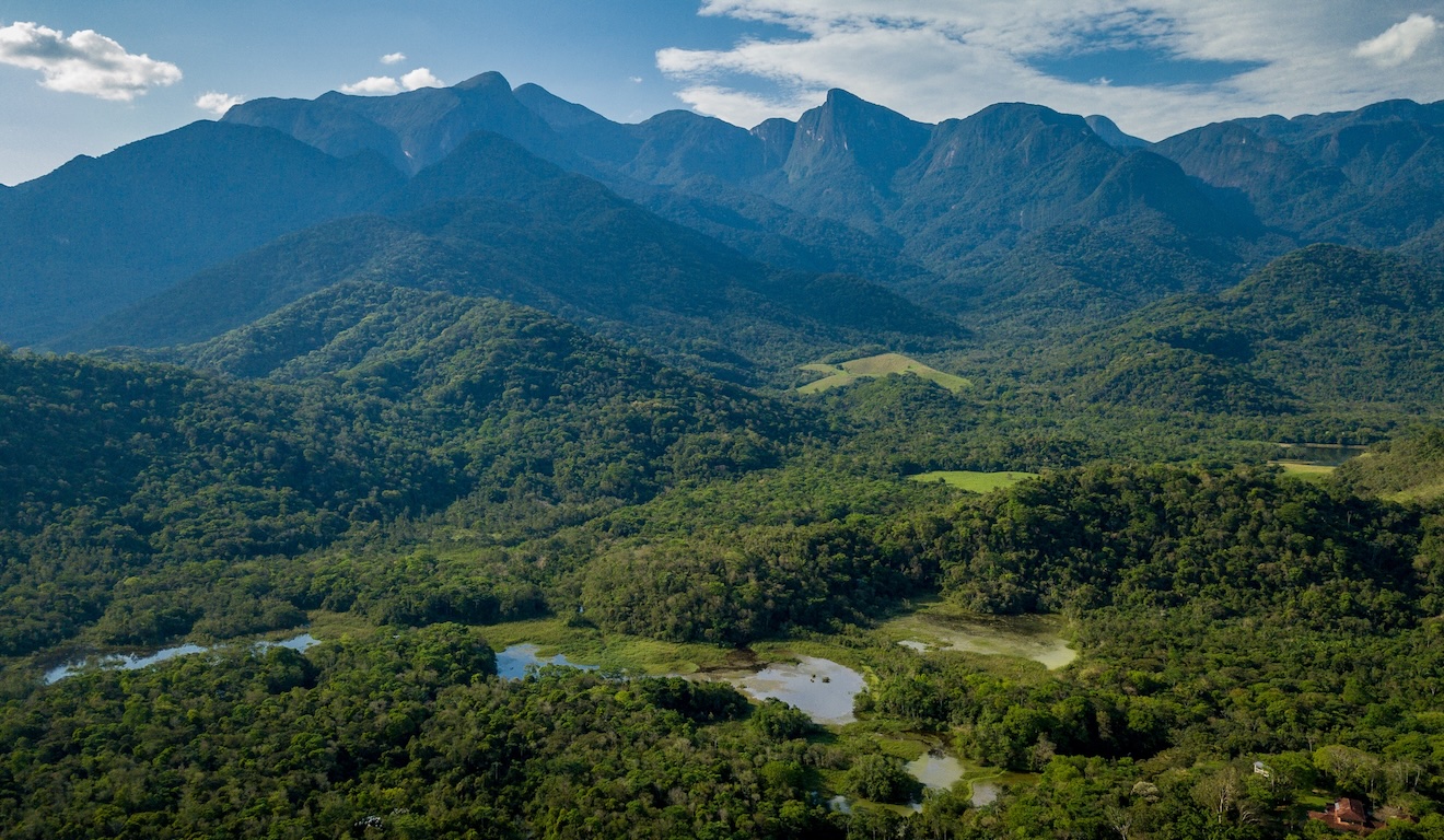 Vista de área da Mata Atlântica no Rio de Janeiro