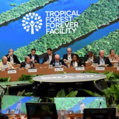 Fundo de florestas tem promessa de US$ 5,5 bi no dia do lançamento