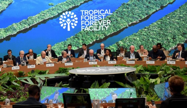 Fundo de florestas tem promessa de US$ 5,5 bi no dia do lançamento