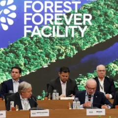 Evento de anúncio do TFFF