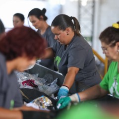 Programa de logística reversa evitou emissões de 4,5 milhões de toneladas de CO2