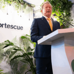 Fortescue, Andrew Forrest