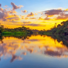 Carta do enviado especial: Estamos em 2035 e a COP30 foi um sucesso para a Amazônia