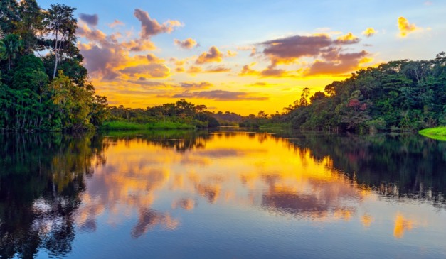 Carta do enviado especial: Estamos em 2035 e a COP30 foi um sucesso para a Amazônia
