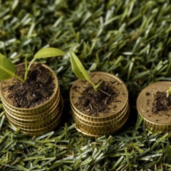 Brasil poderá usar taxonomia sustentável em incentivos fiscais 