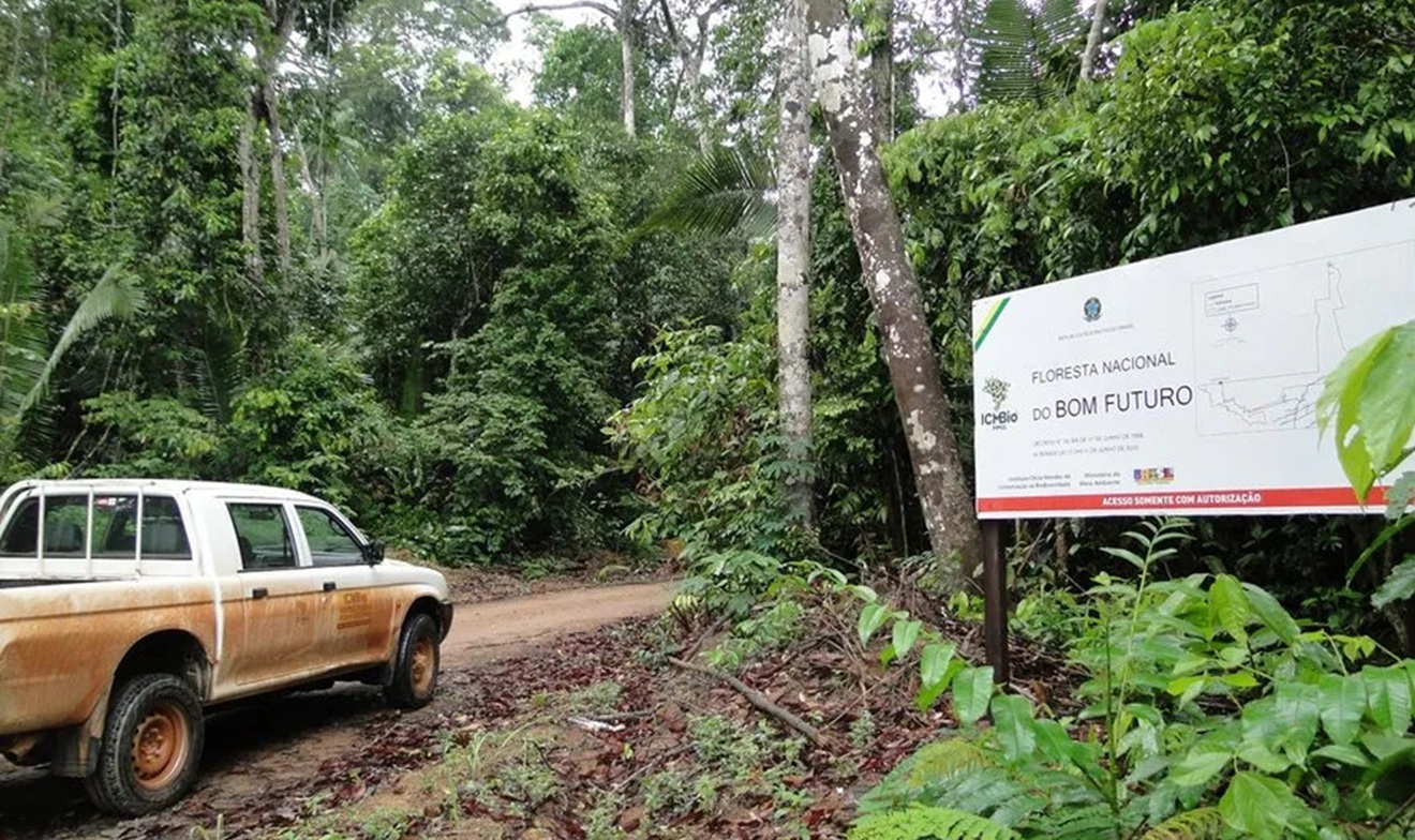 Floresta Nacional do Bom Futuro será a primeira área concedida pelo governo federal para restauro da iniciativa privada com créditos de carbono
