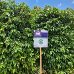 Descarbonização da agricultura e fertilizantes de menor emissão serão exemplos na COP30