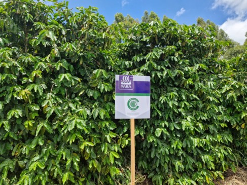 Descarbonização da agricultura e fertilizantes de menor emissão serão exemplos na COP30