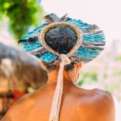 O TFFF como laboratório global de decolonização financeira