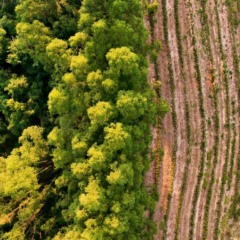 Decisão sobre Plano Clima está nas mãos da Casa Civil