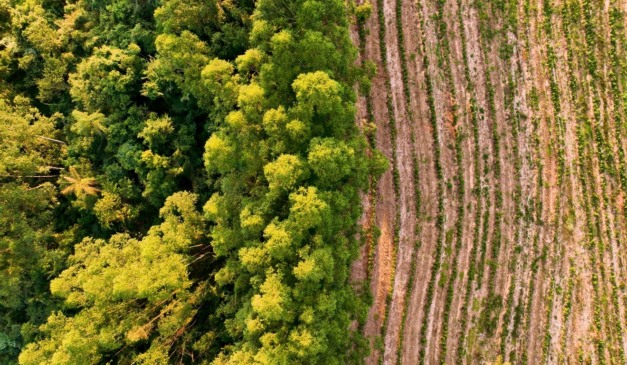 Decisão sobre Plano Clima está nas mãos da Casa Civil