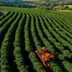 Em impasse com agro, governo corre para entregar Plano Clima na COP