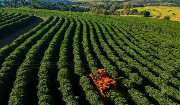 Em impasse com agro, governo corre para entregar Plano Clima na COP