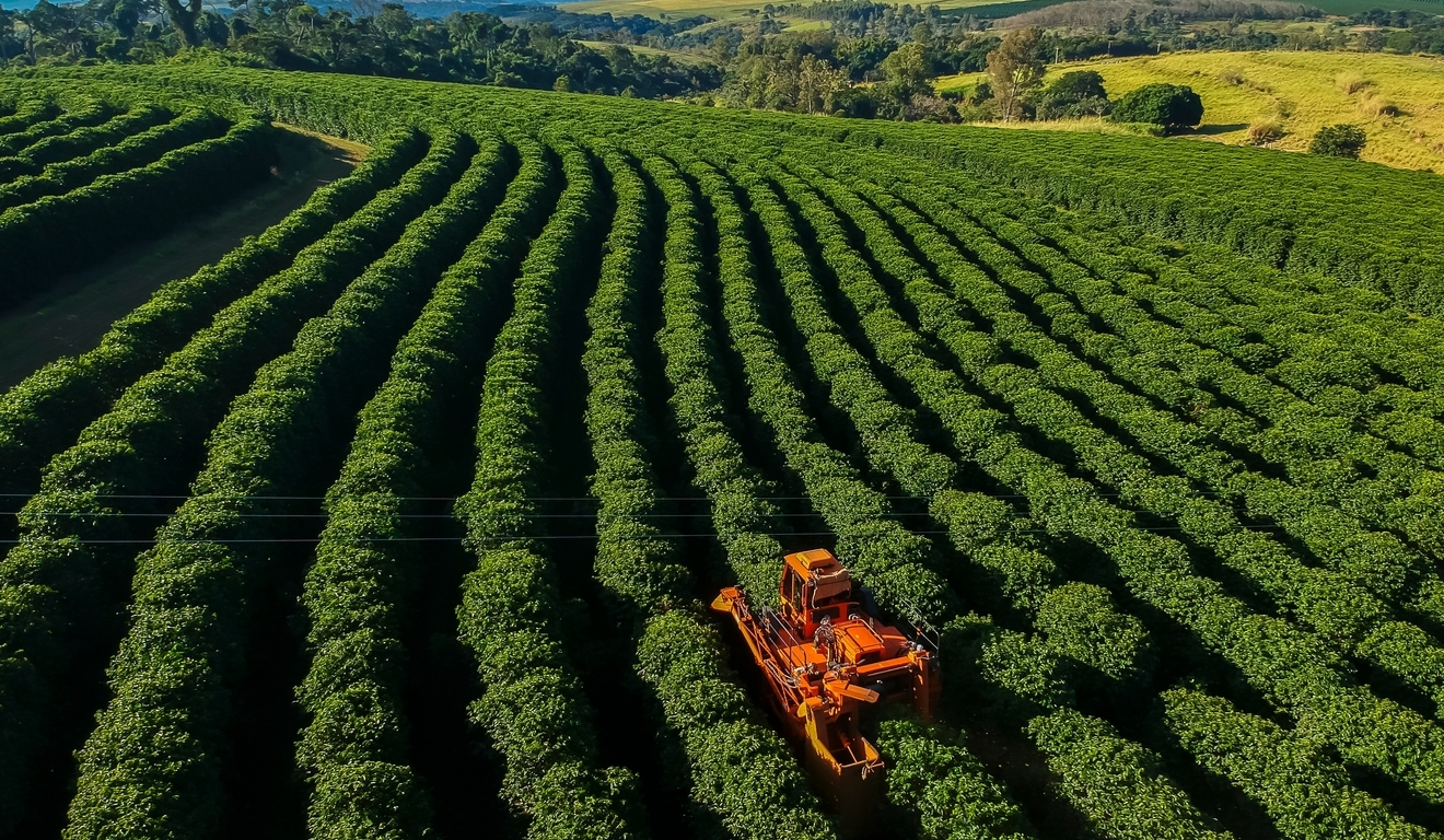Em impasse com agro, governo corre para entregar Plano Clima na COP