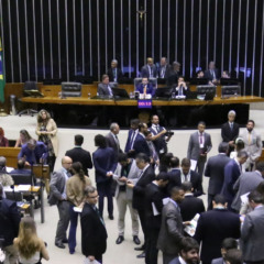 Câmara aprova licença ambiental especial; entenda as mudanças