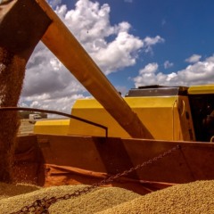 Após duas décadas, Moratória da Soja ruma para o fim