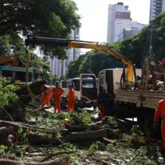 O que S&atilde;o Paulo pode fazer para minimizar os apag&otilde;es causados pelas chuvas