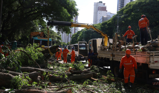 O que São Paulo pode fazer para minimizar os apagões causados pelas chuvas