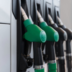 Verdinhas: Petrobras e BP anunciam neg&oacute;cios em biocombust&iacute;veis; Latam emite menos em solo