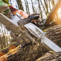 Homem corta &aacute;rvore com serra el&eacute;trica