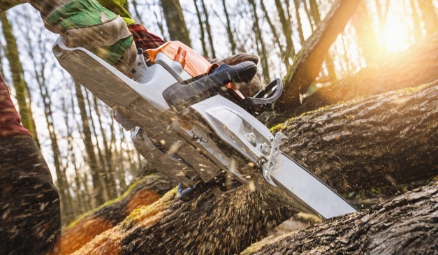 Homem corta árvore com serra elétrica