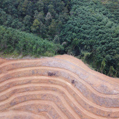 Sem Morat&oacute;ria da Soja, governo aposta em cr&eacute;dito para conter desmatamento