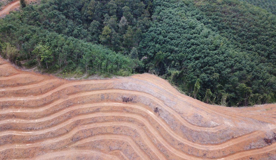Sem Moratória da Soja, governo aposta em crédito para conter desmatamento