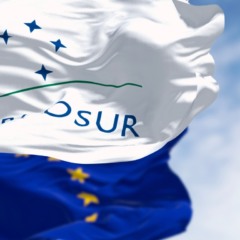 Sustentabilidade faz parte do acordo UE-Mercosul, mas com aplica&ccedil;&atilde;o fr&aacute;gil