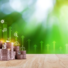 Demanda surpreende e 3&ordm; leil&atilde;o do Eco Invest &eacute; o maior do programa&nbsp;&nbsp;