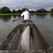 Do pirarucu &agrave; sa&uacute;de: o plano do governo para destravar a bioeconomia