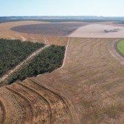 Cr&eacute;ditos de carbono: Mombak &eacute; a primeira a abandonar a Verra