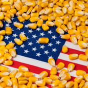 Entre guerra e o agro, Trump acena para biocombust&iacute;veis&nbsp;