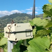 Sensor da Carbon Exchange