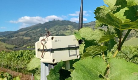 Sensor da Carbon Exchange