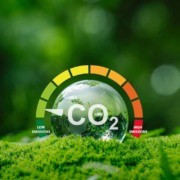 Os ru&iacute;dos que atrapalham o financiamento clim&aacute;tico no Brasil