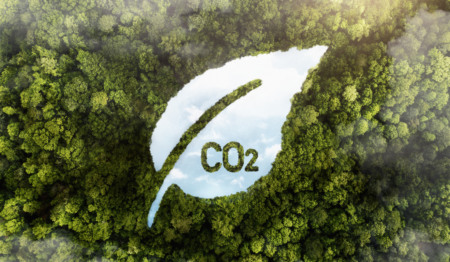Vista aérea de uma floresta com o símbolo de CO2