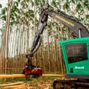 Eco Invest: BTG empresta R$ 1,5 bi &agrave; Bracell para recuperar &aacute;rea degradada