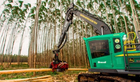 Eco Invest: BTG empresta R$ 1,5 bi à Bracell para recuperar área degradada