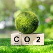 Na nova ordem mundial, uma oportunidade clim&aacute;tica para o Brasil