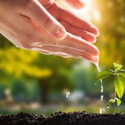 Financiamento clim&aacute;tico: onde est&atilde;o os bons projetos?