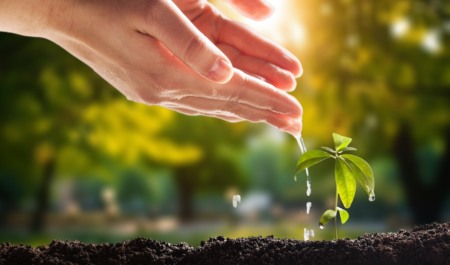 Financiamento climático: onde estão os bons projetos? Financiamento climático: onde estão os bons projetos?