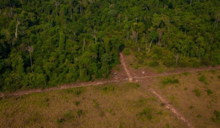 Área de pastagem de desmatamento ilegal no Parque Nacional do Jamanxim, no Pará Foto: Shutterstock Área de pastagem de desmatamento ilegal no Parque Nacional do Jamanxim, no Pará Foto: Shutterstock