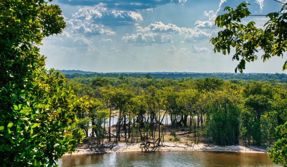 Amazonia, floresta, Brasil. Amazonia, floresta, Brasil.