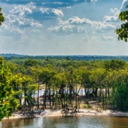 Amazonia, floresta, Brasil.