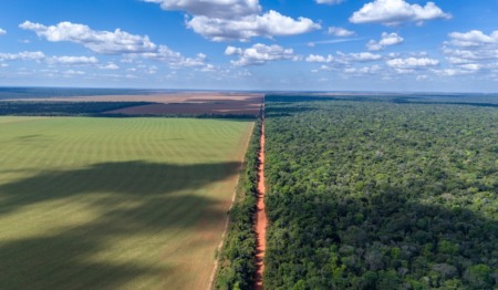 Fronteira de floresta com plantação de soja no Mato Grosso Fronteira de floresta com plantação de soja no Mato Grosso