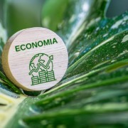 Recuo da CVM abre crise na pol&iacute;tica de finan&ccedil;as sustent&aacute;veis