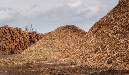 Pilhas de biomassa de madeira em primeiro plano, pilhas de troncos cortados atrás Pilhas de biomassa de madeira em primeiro plano, pilhas de troncos cortados atrás