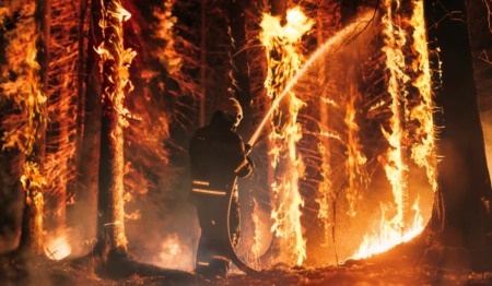 Incêndios florestais e calor na Europa já custam mais de € 3 bi Incêndios florestais e calor na Europa já custam mais de € 3 bi