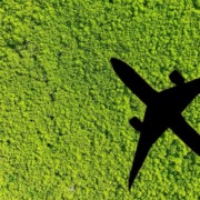 Uma imagem do alto de uma vegeta&ccedil;&atilde;o verde com a sombra de um avi&atilde;o sobrevoando